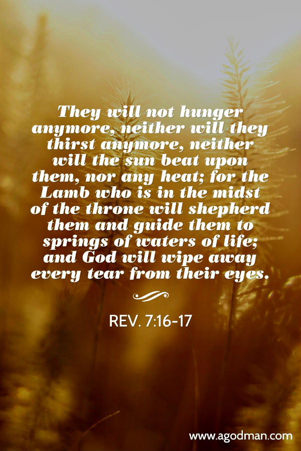 Rev. 7:16-17 They will not hunger anymore, neither will they thirst anymore, neither will the sun beat upon them, nor any heat; for the Lamb who is in the midst of the throne will shepherd them and guide them to springs of waters of life; and God will wipe away every tear from their eyes.