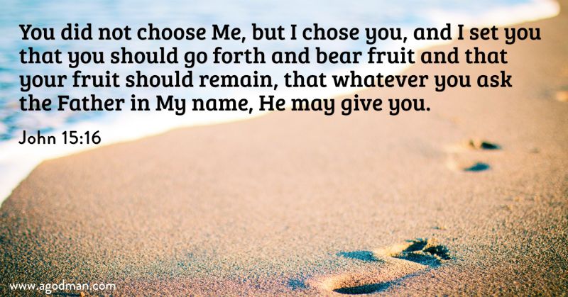 John 15:16 You did not choose Me, but I chose you, and I set you that you should go forth and bear fruit and that your fruit should remain, that whatever you ask the Father in My name, He may give you.