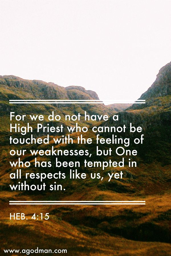 Heb. 4:15 For we do not have a High Priest who cannot be touched with the feeling of our weaknesses, but One who has been tempted in all respects like us, yet without sin.