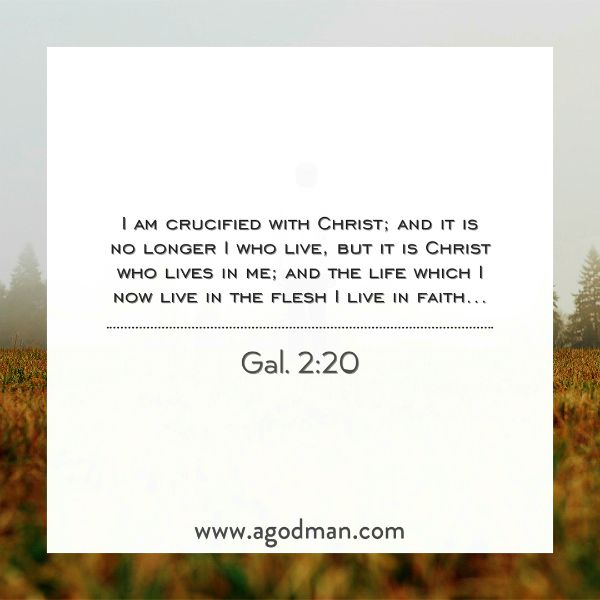 Gal. 2:20 I am crucified with Christ; and it is no longer I who live, but it is Christ who lives in me; and the life which I now live in the flesh I live in faith...