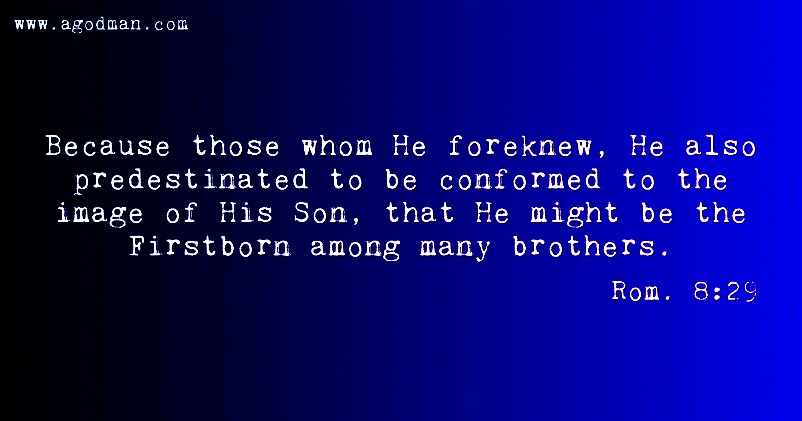Rom. 8:29 Because those whom He foreknew, He also predestinated to be conformed to the image of His Son, that He might be the Firstborn among many brothers.