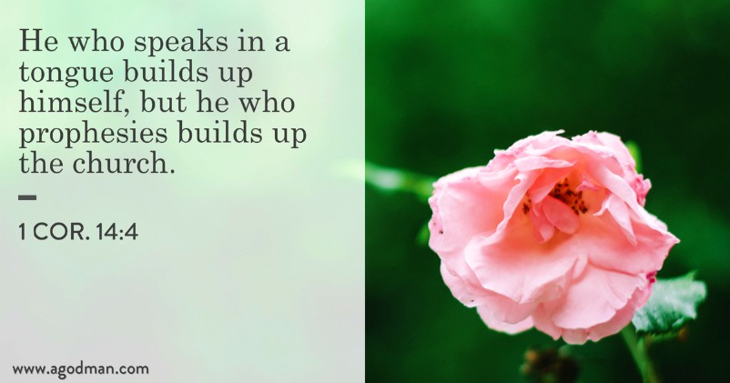 1 Cor. 14:4 He who speaks in a tongue builds up himself, but he who prophesies builds up the church.