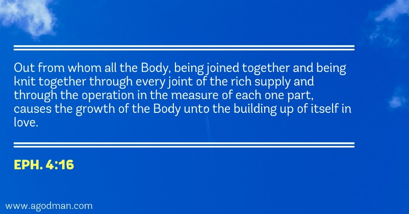 Eph. 4:16 Out from whom all the Body, being joined together and being knit together through every joint of the rich supply and through the operation in the measure of each one part, causes the growth of the Body unto the building up of itself in love.