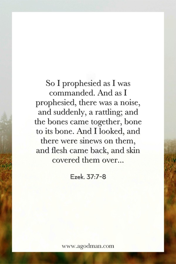 Ezek. 37:7-8 So I prophesied as I was commanded. And as I prophesied, there was a noise, and suddenly, a rattling; and the bones came together, bone to its bone. And I looked, and there were sinews on them, and flesh came back, and skin covered them over...