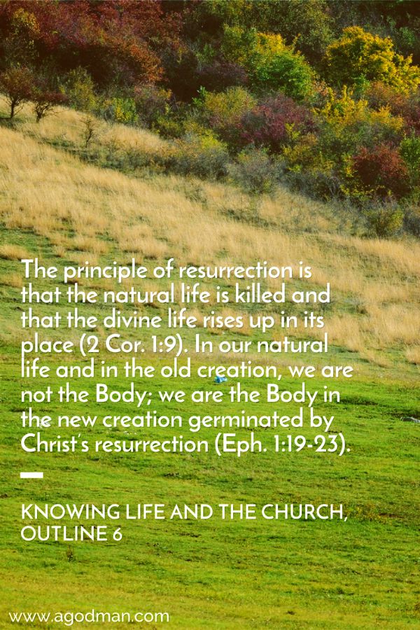 The principle of resurrection is that the natural life is killed and that the divine life rises up in its place (2 Cor. 1:9). In our natural life and in the old creation, we are not the Body; we are the Body in the new creation germinated by Christ’s resurrection (Eph. 1:19-23). Knowing Life and the Church, outline 6