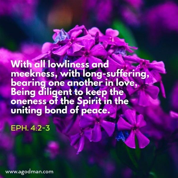 Eph. 4:2-3 With all lowliness and meekness, with long-suffering, bearing one another in love, Being diligent to keep the oneness of the Spirit in the uniting bond of peace.