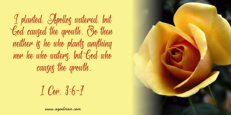 1 Cor. 3:6-7 I planted, Apollos watered, but God caused the growth. So then neither is he who plants anything nor he who waters, but God who causes the growth.