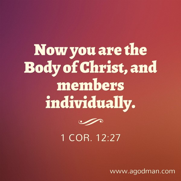 1 Cor. 12:27 Now you are the Body of Christ, and members individually.