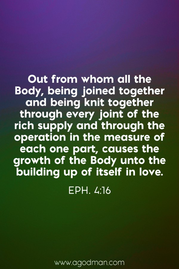 Eph. 4:16 Out from whom all the Body, being joined together and being knit together through every joint of the rich supply and through the operation in the measure of each one part, causes the growth of the Body unto the building up of itself in love.