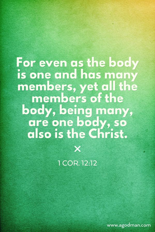 1 Cor. 12:12 For even as the body is one and has many members, yet all the members of the body, being many, are one body, so also is the Christ.