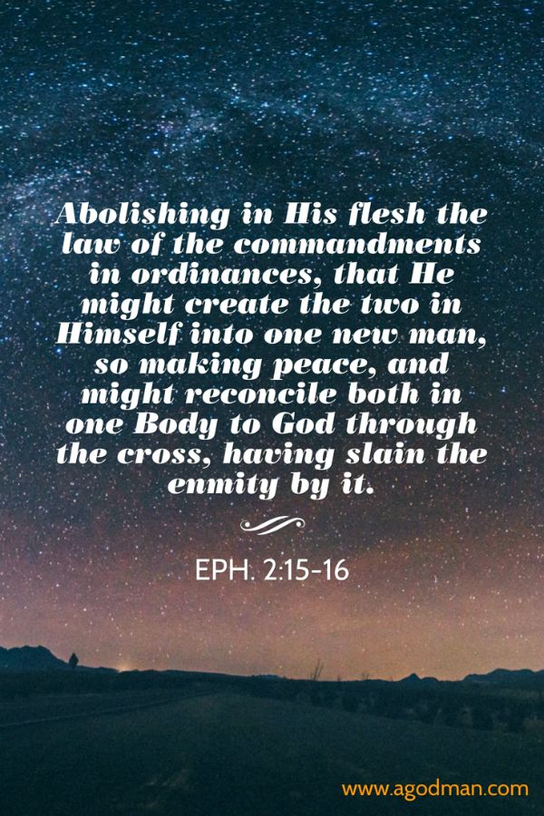 Eph. 2:15-16 Abolishing in His flesh the law of the commandments in ordinances, that He might create the two in Himself into one new man, so making peace, and might reconcile both in one Body to God through the cross, having slain the enmity by it.