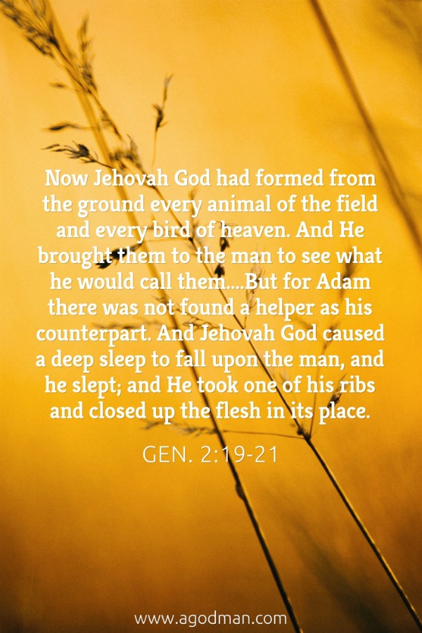Gen. 2:19-21 Now Jehovah God had formed from the ground every animal of the field and every bird of heaven. And He brought them to the man to see what he would call them....But for Adam there was not found a helper as his counterpart. And Jehovah God caused a deep sleep to fall upon the man, and he slept; and He took one of his ribs and closed up the flesh in its place.