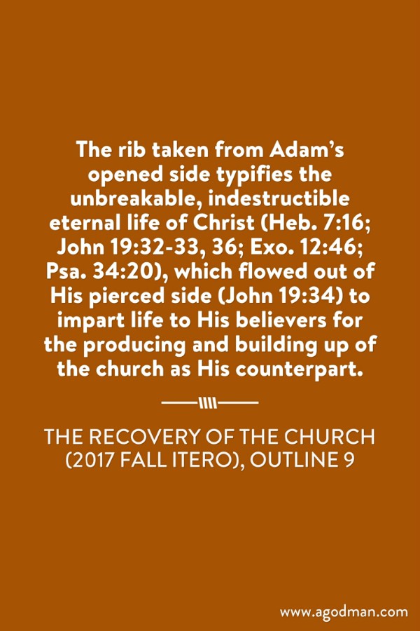 The rib taken from Adam’s opened side typifies the unbreakable, indestructible eternal life of Christ (Heb. 7:16; John 19:32-33, 36; Exo. 12:46; Psa. 34:20), which flowed out of His pierced side (John 19:34) to impart life to His believers for the producing and building up of the church as His counterpart. The Recovery of the Church (2017 fall ITERO), outline 9