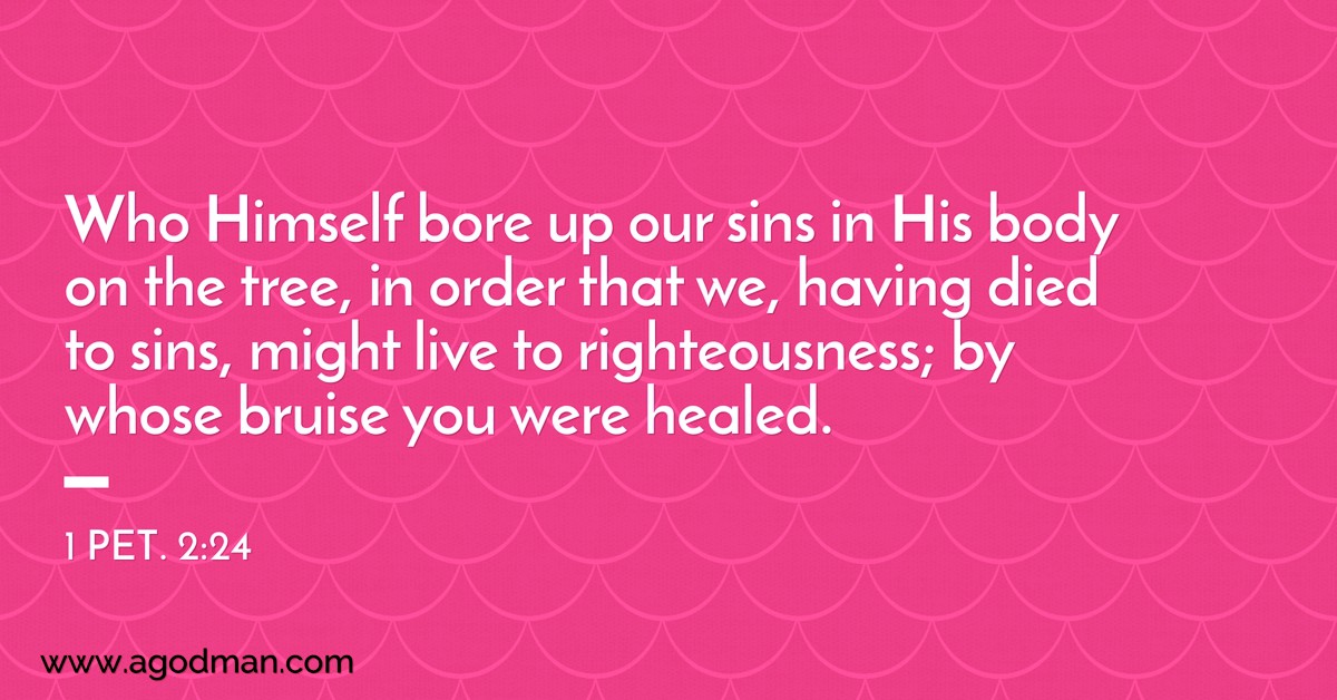1 Pet. 2:24 Who Himself bore up our sins in His body on the tree, in order that we, having died to sins, might live to righteousness; by whose bruise you were healed.
