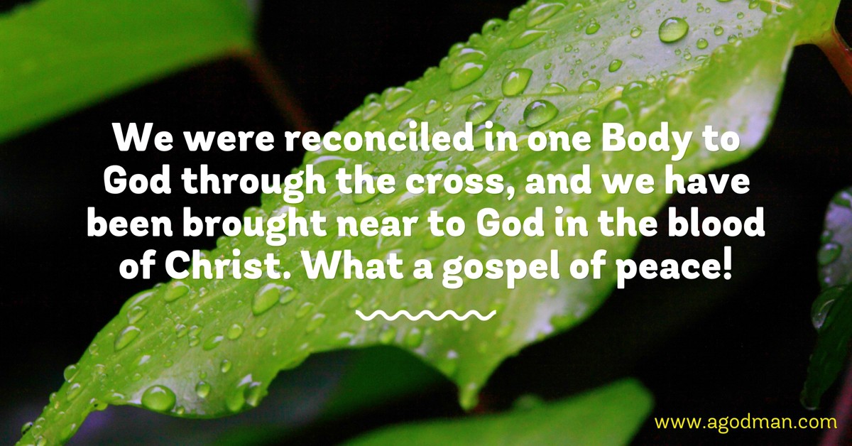 We were reconciled in one Body to God through the cross, and we have been brought near to God in the blood of Christ. What a gospel of peace!