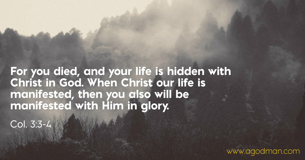 Col. 3:3-4 For you died, and your life is hidden with Christ in God. When Christ our life is manifested, then you also will be manifested with Him in glory.