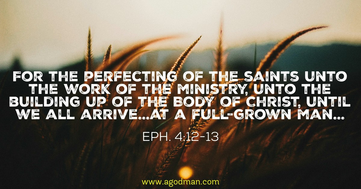 Eph. 4:12-13 For the perfecting of the saints unto the work of the ministry, unto the building up of the Body of Christ, until we all arrive...at a full-grown man...