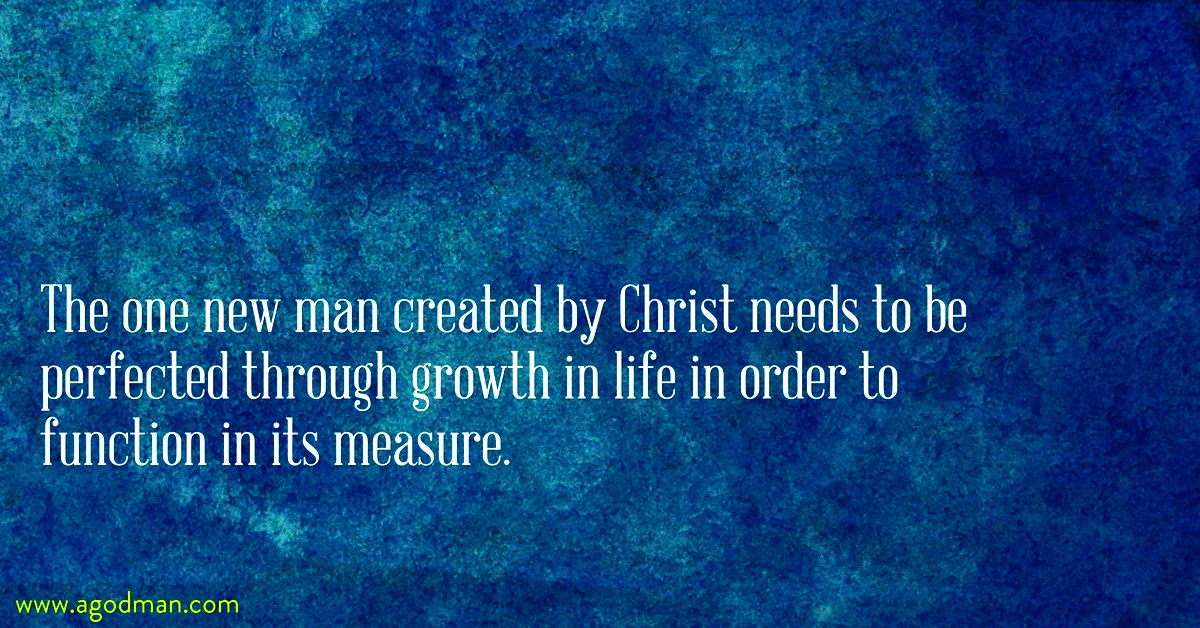 The one new man created by Christ needs to be perfected through growth in life in order to function in its measure.