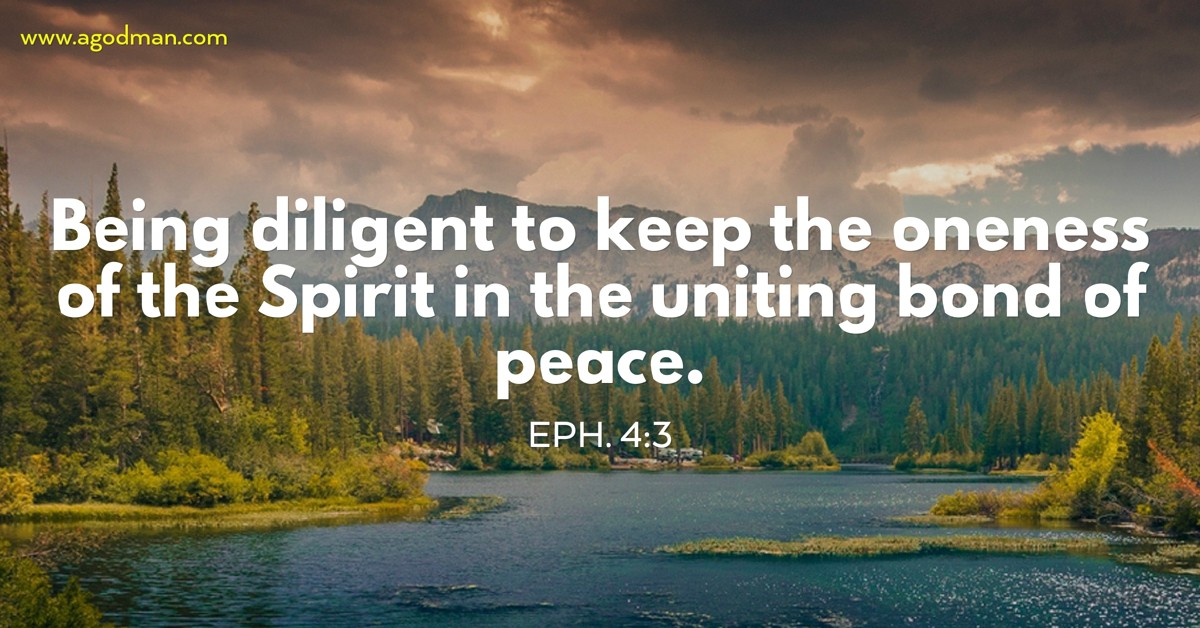 Eph. 4:3 Being diligent to keep the oneness of the Spirit in the uniting bond of peace.