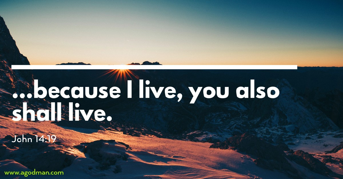 John 14:19 ...because I live, you also shall live.