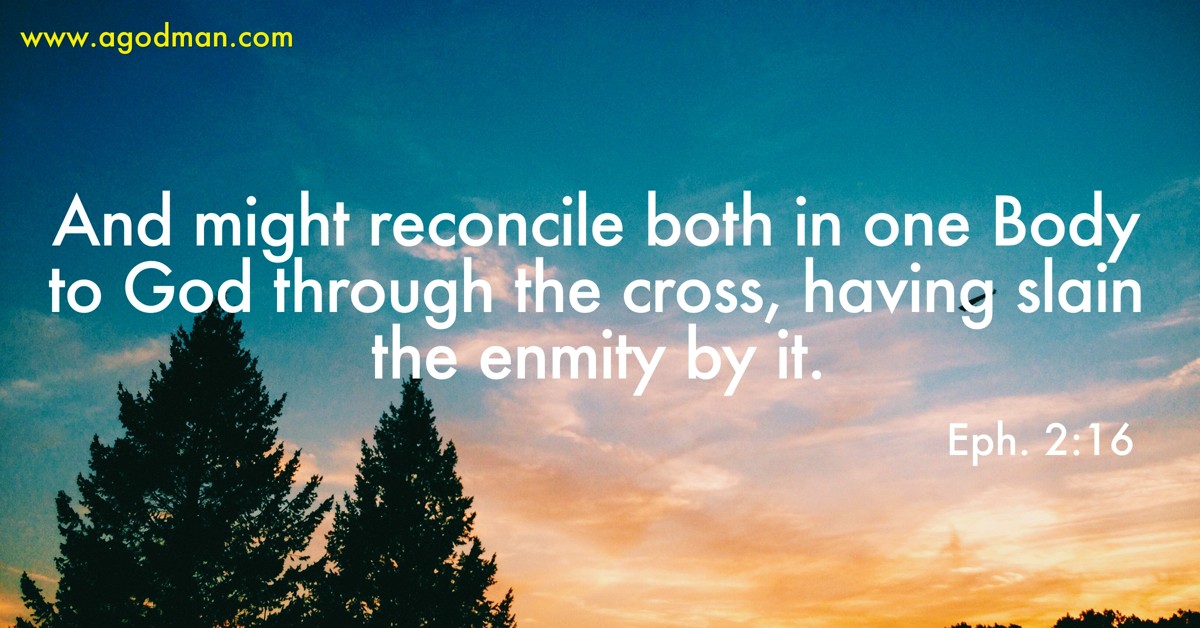Eph. 2:16 And might reconcile both in one Body to God through the cross, having slain the enmity by it.