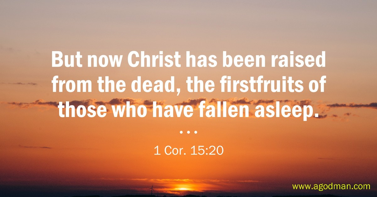 1 Cor. 15:20 But now Christ has been raised from the dead, the firstfruits of those who have fallen asleep.