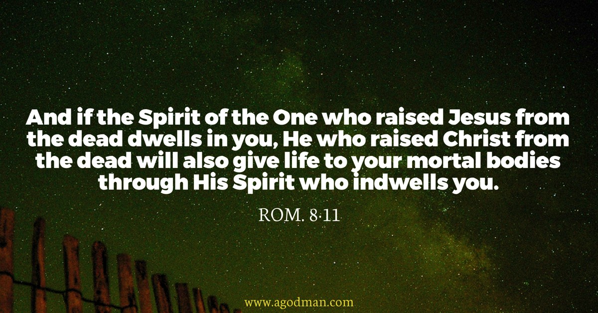 Rom. 8:11 And if the Spirit of the One who raised Jesus from the dead dwells in you, He who raised Christ from the dead will also give life to your mortal bodies through His Spirit who indwells you.