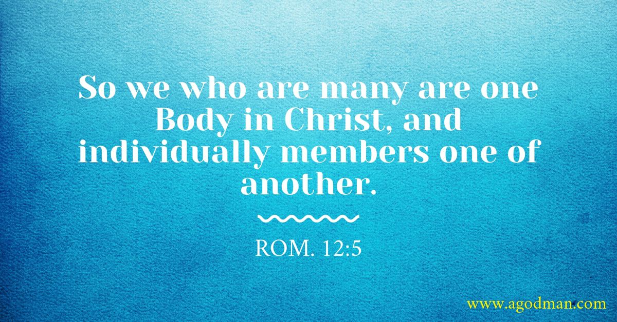 Rom. 12:5 So we who are many are one Body in Christ, and individually members one of another.