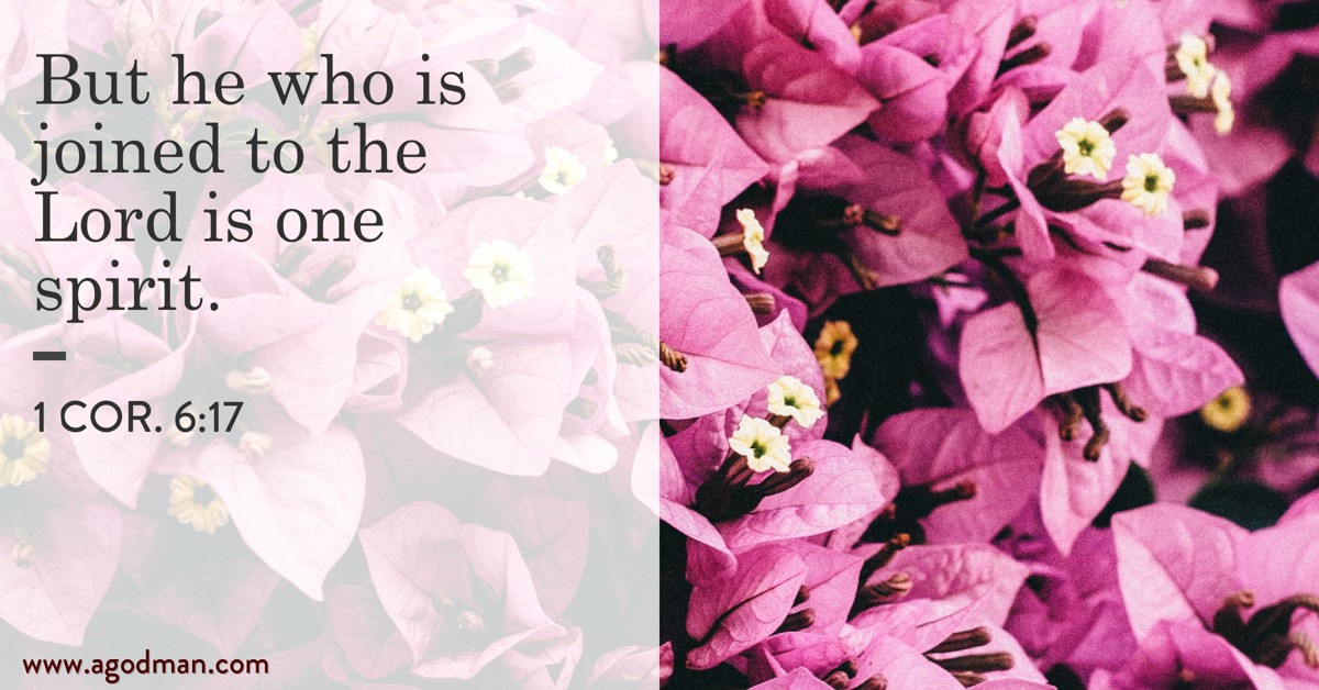 1 Cor. 6:17 But he who is joined to the Lord is one spirit.