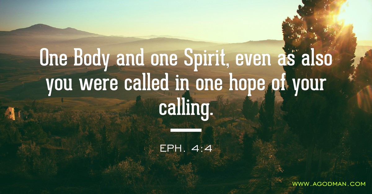 Eph. 4:4 One Body and one Spirit, even as also you were called in one hope of your calling.
