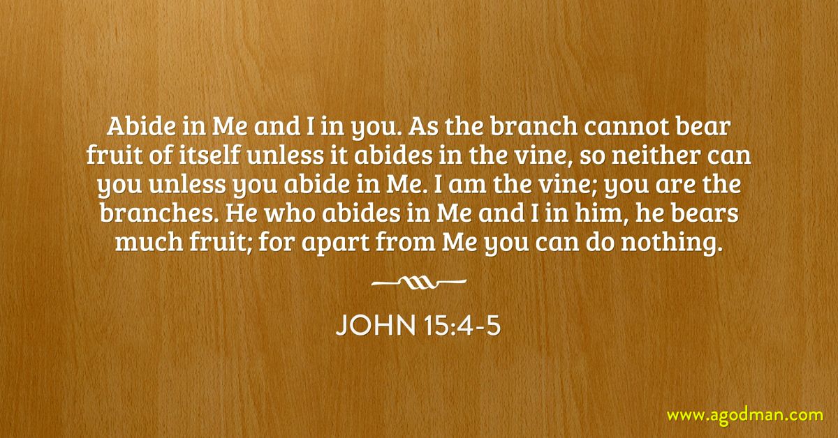 John 15:4-5 Abide in Me and I in you. As the branch cannot bear fruit of itself unless it abides in the vine, so neither can you unless you abide in Me. I am the vine; you are the branches. He who abides in Me and I in him, he bears much fruit; for apart from Me you can do nothing.