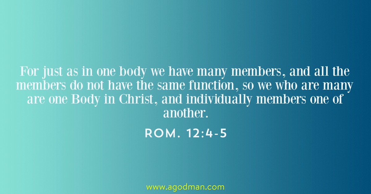 Rom. 12:4-5 For just as in one body we have many members, and all the members do not have the same function, so we who are many are one Body in Christ, and individually members one of another.