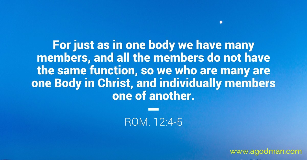 Rom. 12:4-5 For just as in one body we have many members, and all the members do not have the same function, so we who are many are one Body in Christ, and individually members one of another.