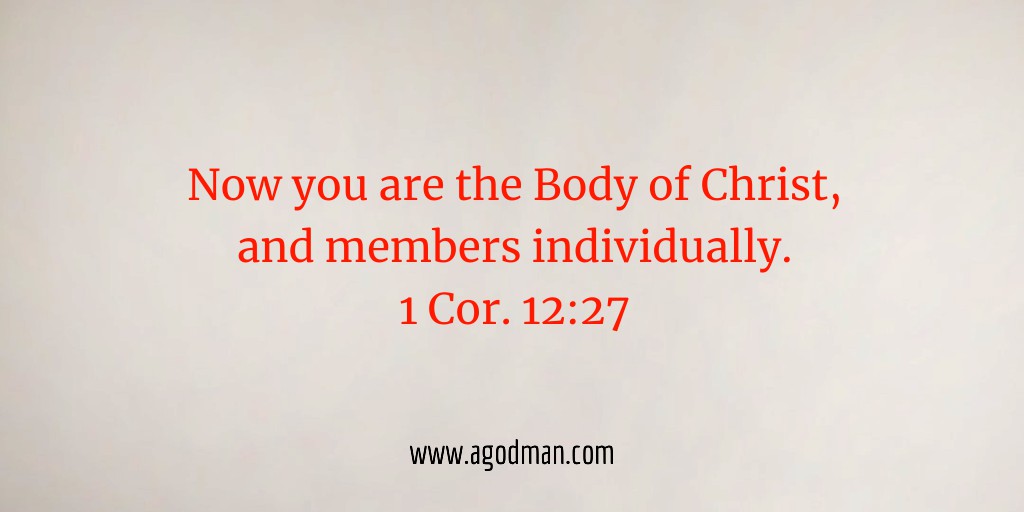 1 Cor. 12:27 Now you are the Body of Christ, and members individually.