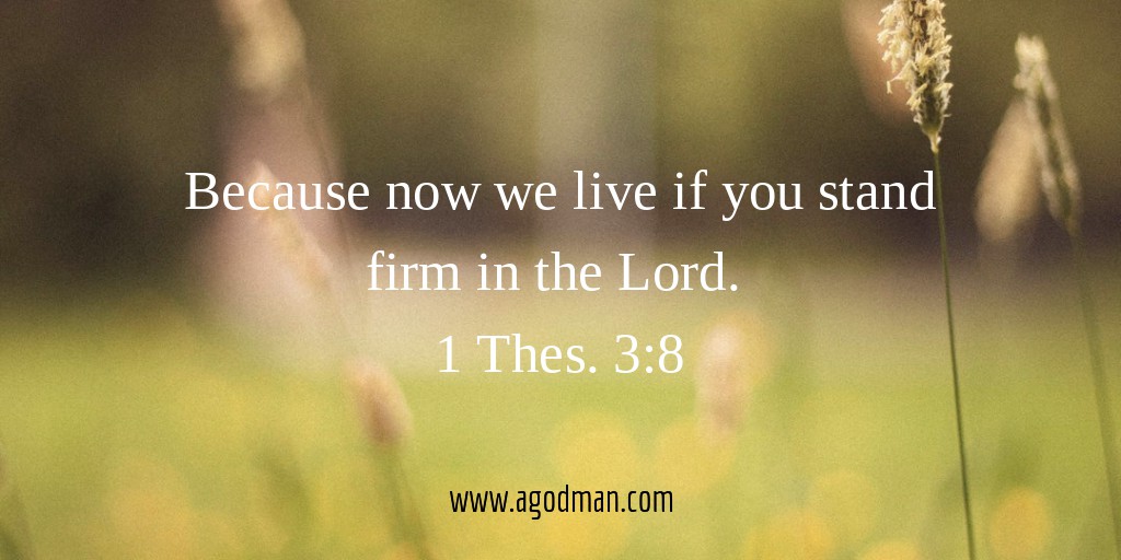 Because now we live if you stand firm in the Lord. 1 Thes. 3:8