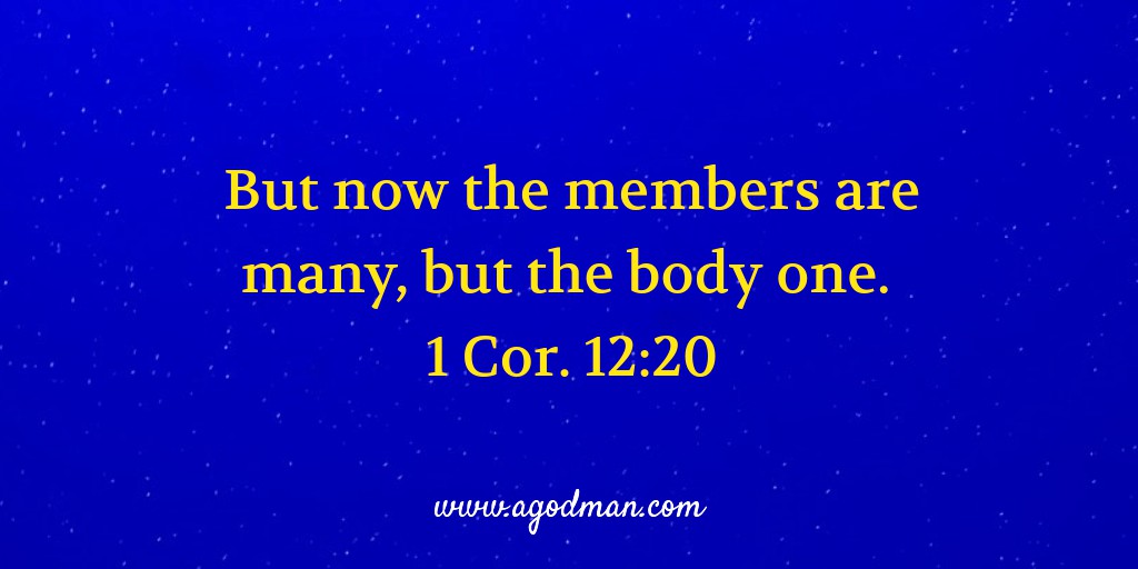 But now the members are many, but the body one. 1 Cor. 12:20