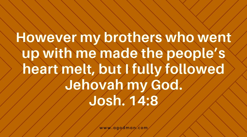 Josh. 14:8 However my brothers who went up with me made the people’s heart melt, but I fully followed Jehovah my God.