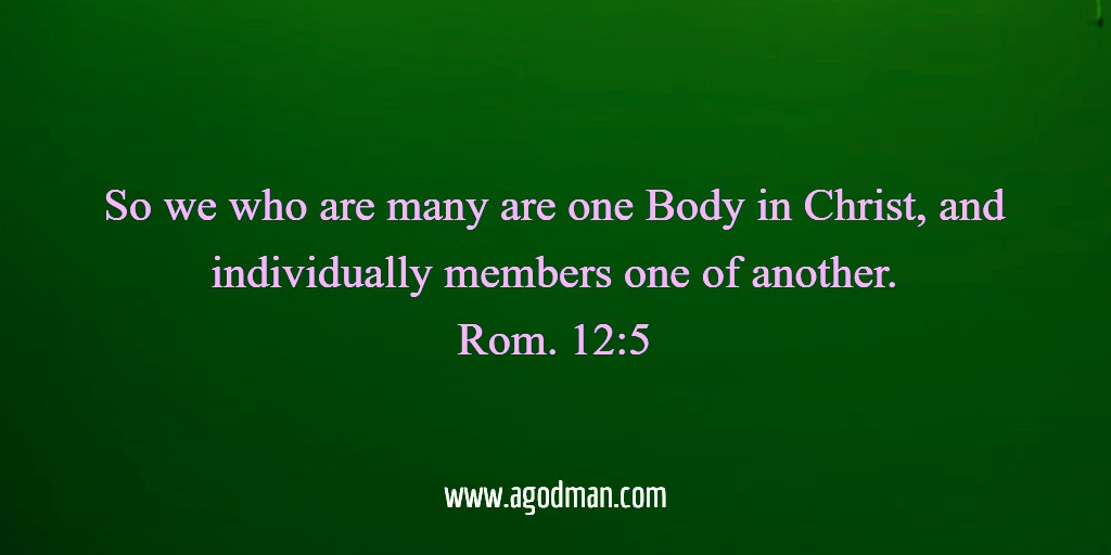 Rom. 12:5 So we who are many are one Body in Christ, and individually members one of another.