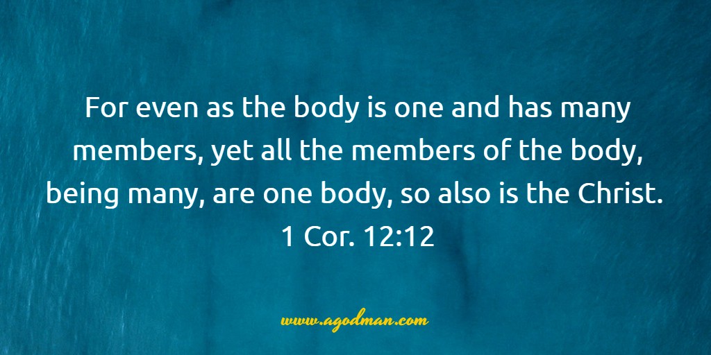 For even as the body is one and has many members, yet all the members of the body, being many, are one body, so also is the Christ. 1 Cor. 12:12