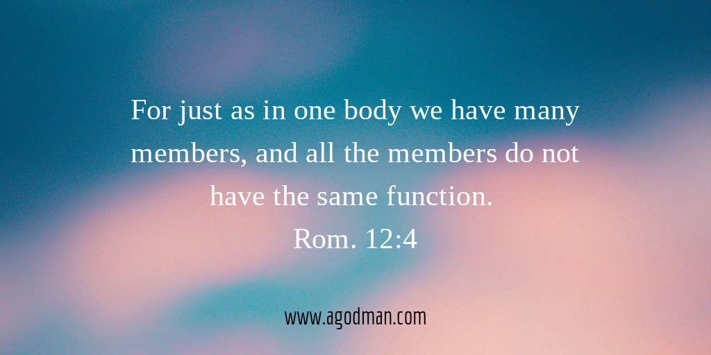 For just as in one body we have many members, and all the members do not have the same function. Rom. 12:4