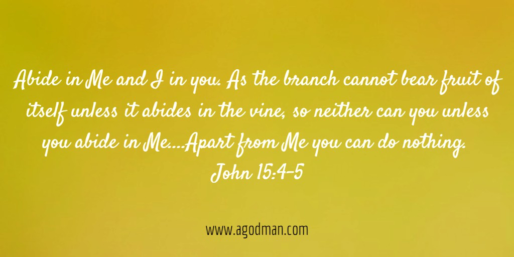 Abide in Me and I in you. As the branch cannot bear fruit of itself unless it abides in the vine, so neither can you unless you abide in Me....Apart from Me you can do nothing. John 15:4-5