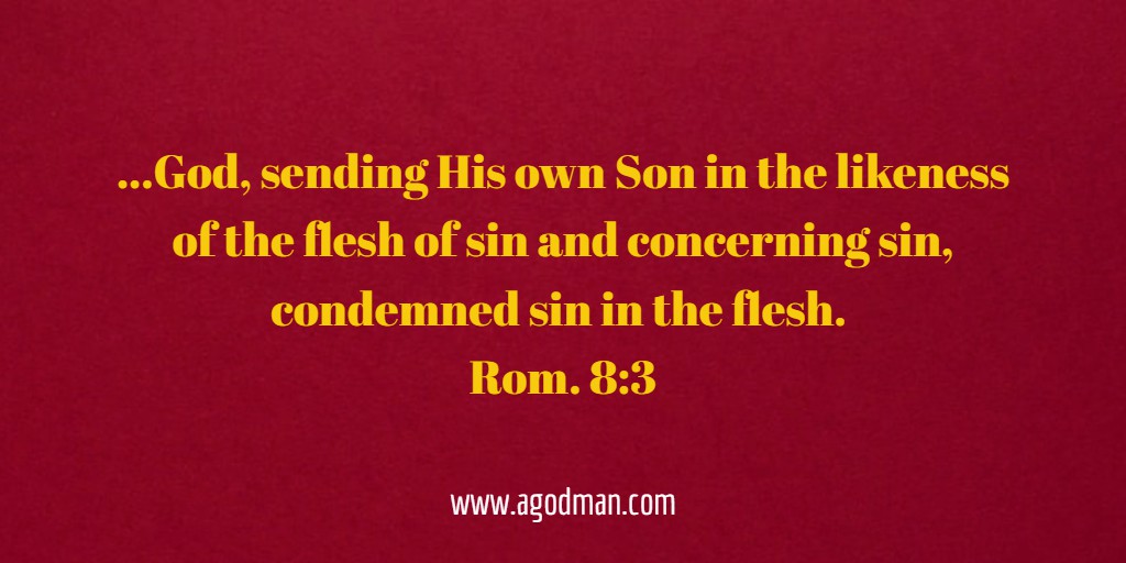...God, sending His own Son in the likeness of the flesh of sin and concerning sin, condemned sin in the flesh. Rom. 8:3
