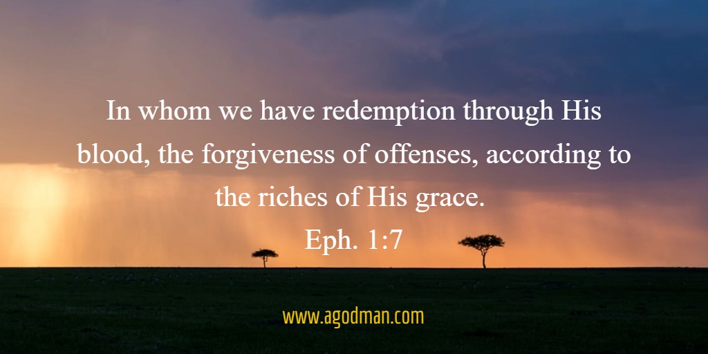 In whom we have redemption through His blood, the forgiveness of offenses, according to the riches of His grace. Eph. 1:7