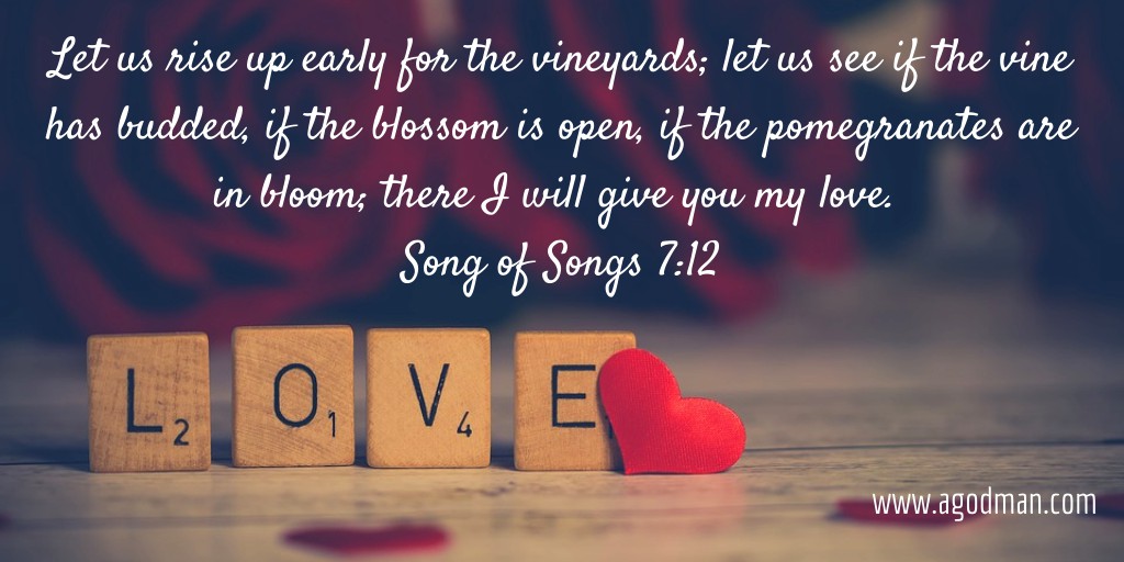 Let us rise up early for the vineyards; let us see if the vine has budded, if the blossom is open, if the pomegranates are in bloom; there I will give you my love. Song of Songs 7:12