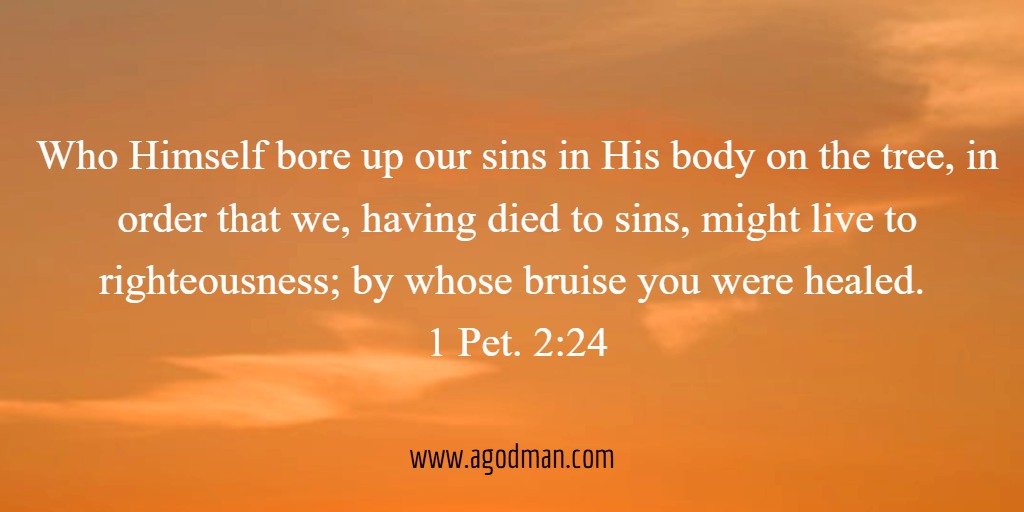 Who Himself bore up our sins in His body on the tree, in order that we, having died to sins, might live to righteousness; by whose bruise you were healed. 1 Pet. 2:24