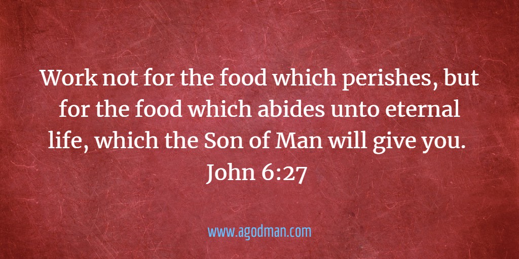 Work not for the food which perishes, but for the food which abides unto eternal life, which the Son of Man will give you. John 6:27