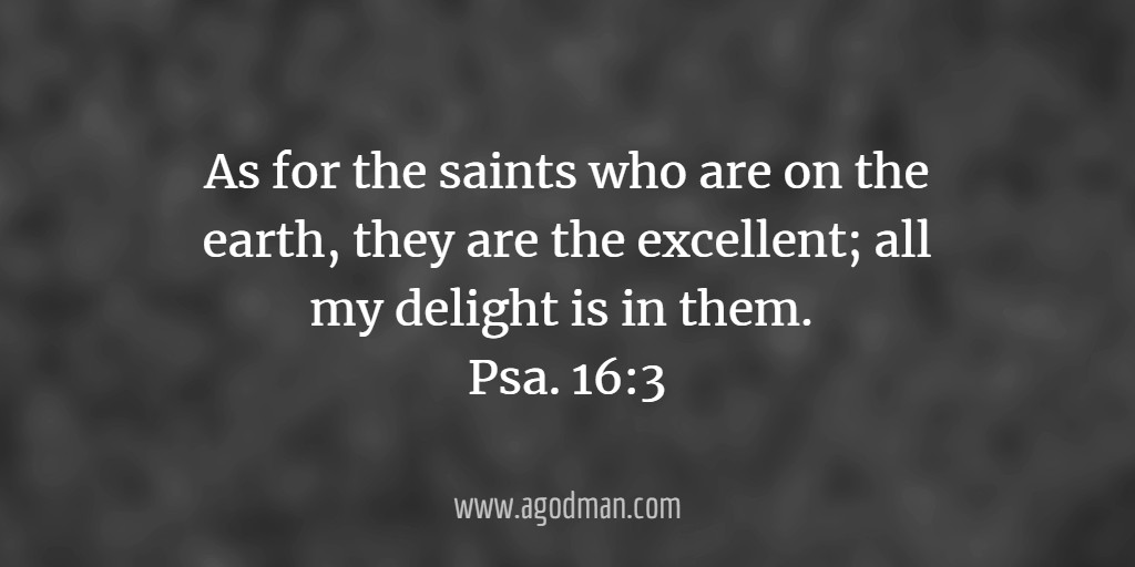 As for the saints who are on the earth, they are the excellent; all my delight is in them. Psa. 16:3