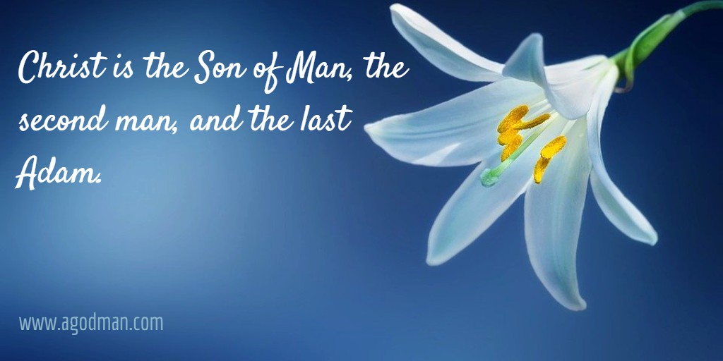 Christ is the Son of Man, the second man, and the last Adam.