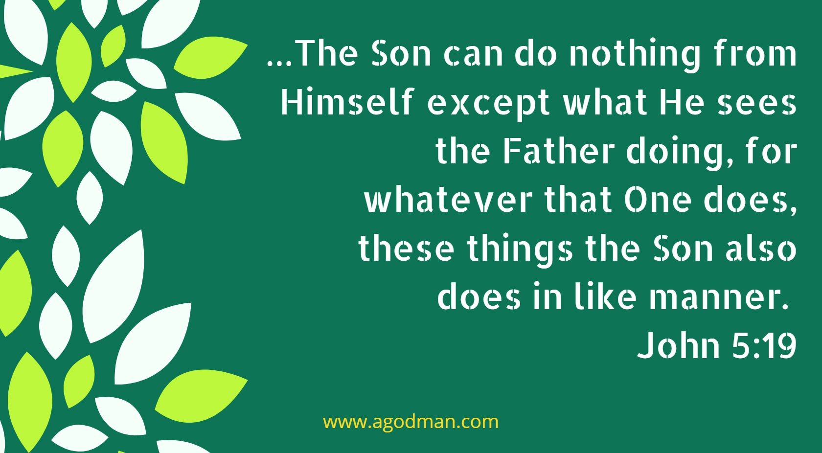 …The Son can do nothing from Himself except what He sees the Father doing, for whatever that One does, these things the Son also does in like manner. John 5:19