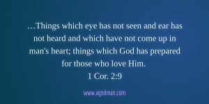…Things which eye has not seen and ear has not heard and which have not come up in man's heart; things which God has prepared for those who love Him. 1 Cor. 2:9